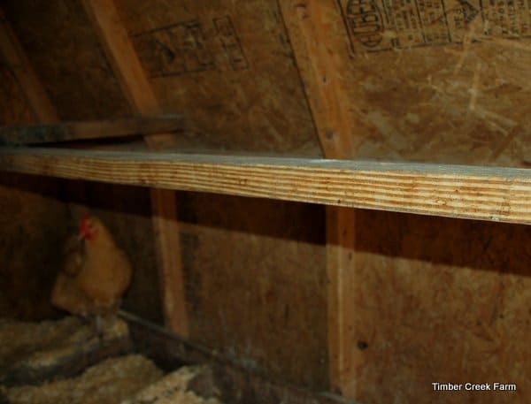 make a chicken coop from a garden shed