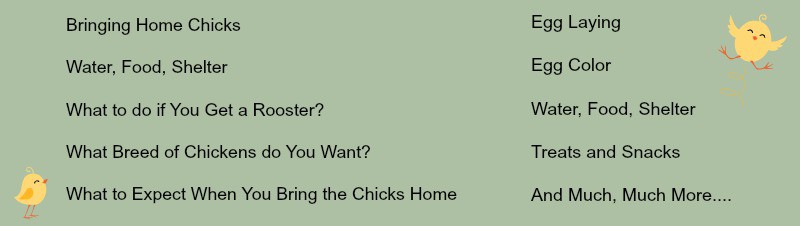 Chickens From Scratch