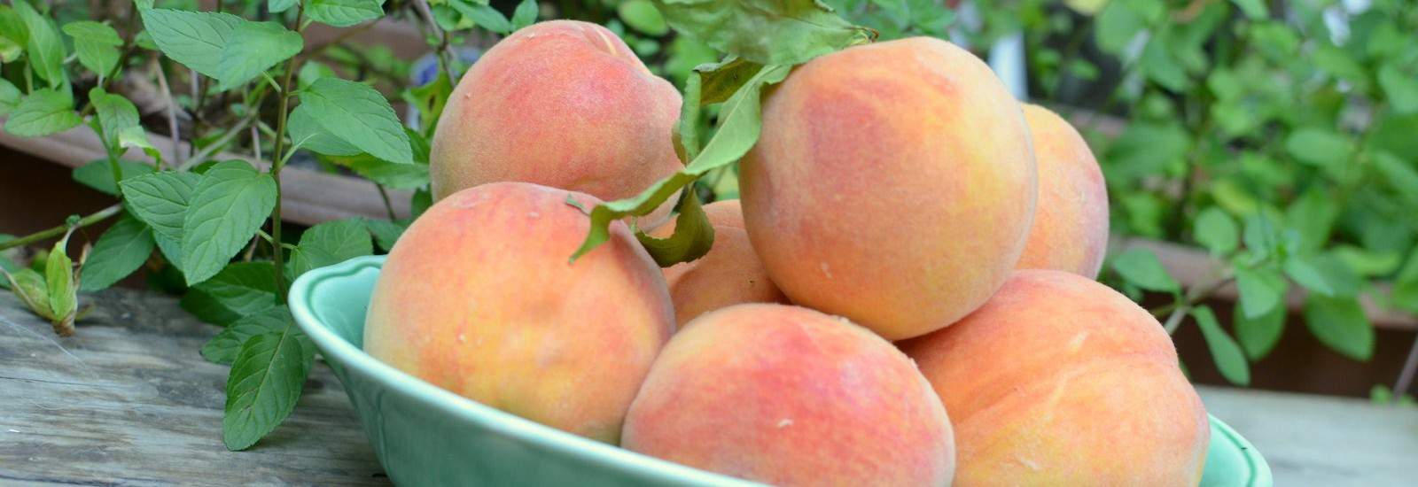 peaches preserved baked delicous