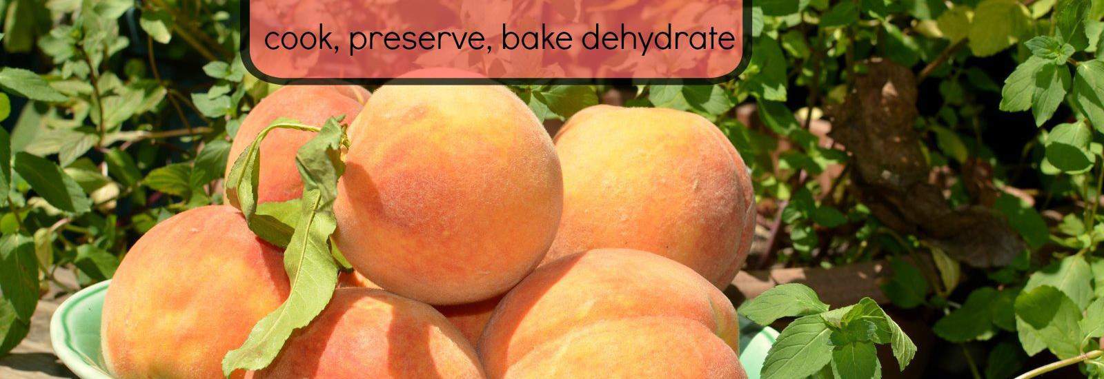Peaches preserved baked delicious