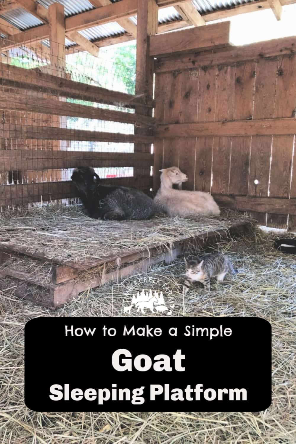 goat sleeping platform