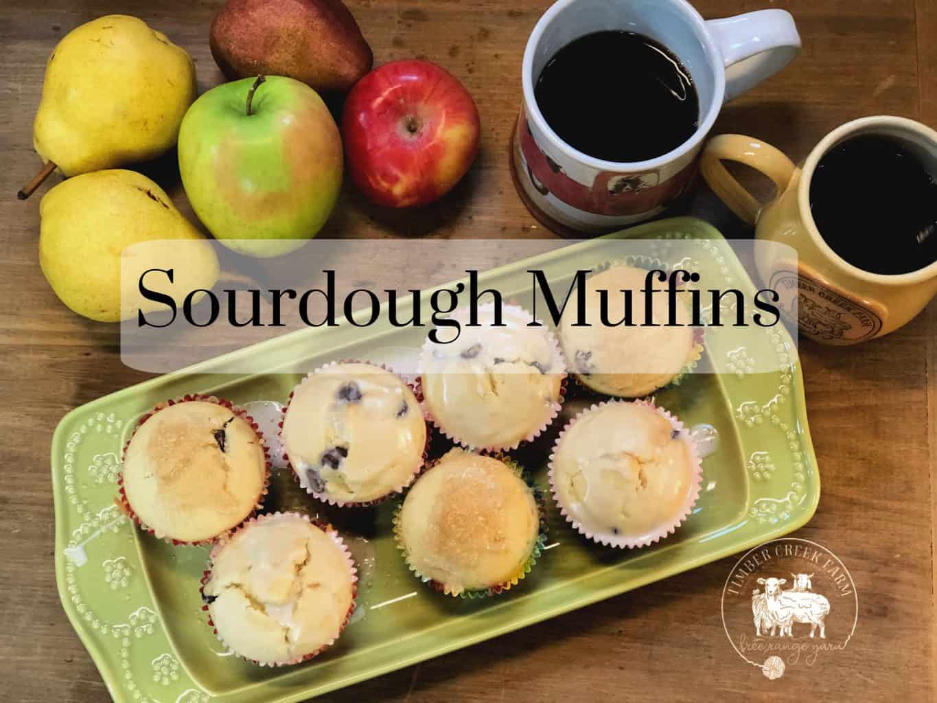 sourdough muffins
